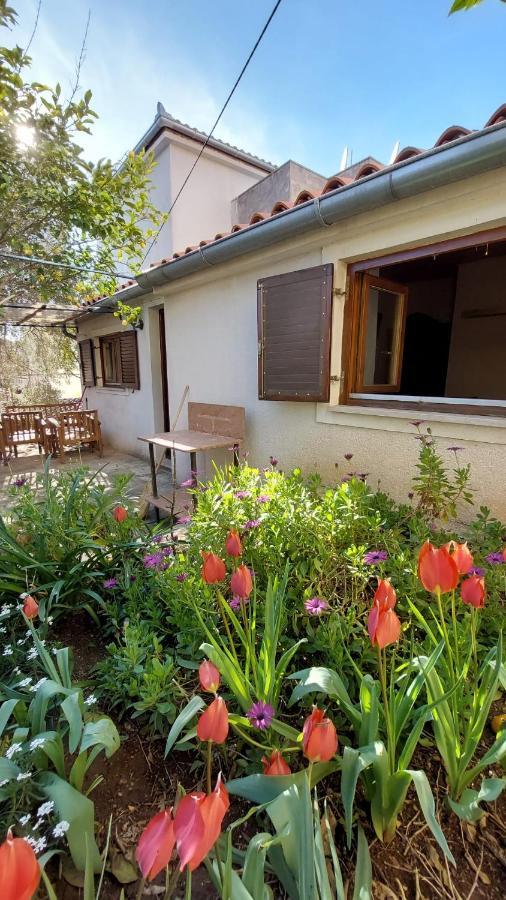 Apartman Kristina And Free Parking Mali Lošinj Exteriör bild